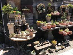 Beautiful And Creative Display Ideas For Succulent Plants Succulent Display Succulent Landscaping Planting Succulents