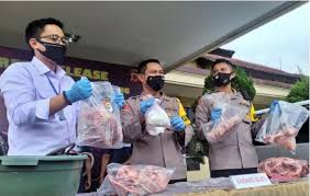 Download now kuliah 12 sistem uropoeitica. Waspada Daging Babi Mirip Daging Sapi Beredar Di 3 Kecamatan Ini Selama 7 Bulan Bagian 1