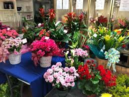 We did not find results for: Jana S Flowers Home Facebook