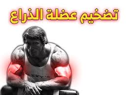 تمارين الباي والتراي بالصور Arm Workout Super Sets Workout