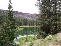 Maybe you would like to learn more about one of these? Dixie National Forest Camping Cabins Cabin Rentals