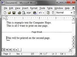 What Is Page Break Word Document Words Computer Dictionary