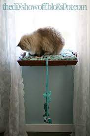 diy how to make a cat window perch cat window cat window perch diy cat window