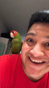 Tienes un ave y necesitas buscarle juguetes y accesorios seguros en Picos  Locos encuentras gran variedad pide el catálogo por WhatsApp  https://wa.me/525582280606 Envíos a todo México Tienda física a 10 min de