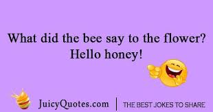 Funny Flower Joke With Picture Jokes Funny Joke Quote Jokes For Kids