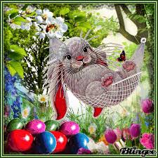 Https Encrypted Tbn0 Gstatic Com Images Q Tbn 3aand9gcs1wokthntrn2p0smnu5ye7nsxj6xeuvnjlvw Usqp Cau