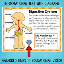 The teacher spins the spinner or draws the words from a hat, then calls out the body part and the color, for example, eyes, red. Human Body Parts Of The Body Digital Activities Google Drive Distance Learning