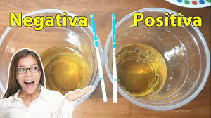 Prueba De Embarazo Con Aceite Positivo Vs Negativo Prueba De Embarazo Casera Prueba De Embarazo Prueba De Embarazo Positiva