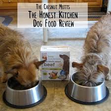 I am starting to believe protien sensitivities are part of my puppies issue. Review The Honest Kitchen Dog Food The Chesnut Mutts
