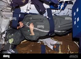 Nowak hi-res stock photography and images