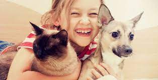 Give the gift of a second chance. The Humane Society Of Bay County Adopt A Pet Today Bay County Animal Shelter