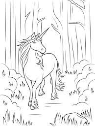 Forest Unicorn Coloring Page Free Printable Coloring Pages Malvorlagen Pferde Kostenlose Ausmalbilder Einhorn Zum Ausmalen