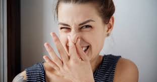 Máte zapáchajúce vetry? Tieto potraviny pomôžu