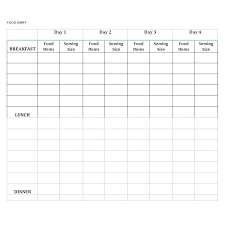 Diabetic Food Diary Template Jasonkellyphoto Co