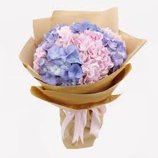 First discovered in japan, the name hydrangea comes from the greek hydor, meaning water, and. Beautiful Hydrangeas Bouquet Online Flowers Delivery In Bangalore Juneflowers Com