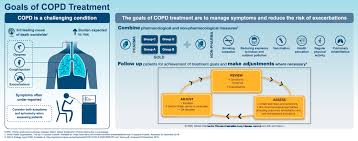 Image result for COPD Exacerbation Prevention