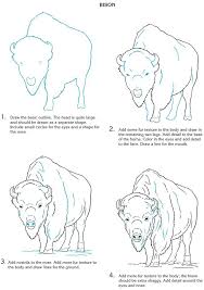 Welcome To Dover Publications Animal Drawings Bison Art Buffalo Art