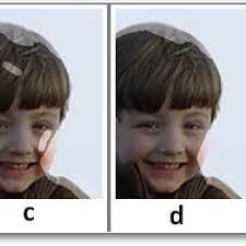 PDF) Geodesic Image and Video Editing