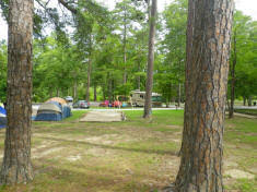 69,880 likes · 750 talking about this · 101,750 were here. Noccalula Falls Park