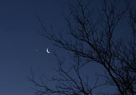 Din rude mari împărăteşti, o prea frumoasă fată. In SpaÈ›iu LuceafÄƒrul Romania Military