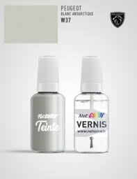 Image result for Blanc Antarctique 2014 Peugeot