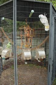 Outdoor Walk In Bird Aviary For Sale Suncatcher Bird Cage Testimonials Bird Aviary Bird House Kits Aviary