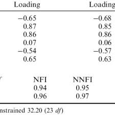 Image result for Diplazium cyamudongoense