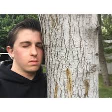 2017 CETA High School Theatre Festival: Directory