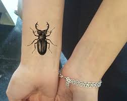 29 Mind Blowing Beetle Tattoo Images Pictures And Photos Ideas Specialist tattoo dövme malzemeleri izmir. 29 mind blowing beetle tattoo images