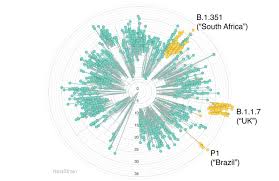 And very many experts predict that we have decades of worse variants than delta ahead of us, before covid becomes as innocuous as flu Why New Covid 19 Variants Are On The Rise And Spreading Around The World Beyond