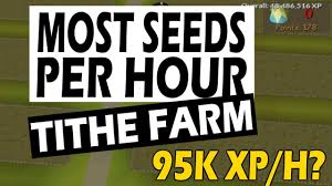 Getting 34 million xp / hour on osrs. Osrs Tithe Farm Planting Method Comparison 95k Xp Per Hour Youtube