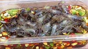 中国で男性の脳内にいっぱいの寄生虫が見つかる 日本料理の流行が一因と中国紙は報じるが… | 医師は「刺身や生肉は食べないで」と呼びかける |  クーリエ・ジャポン