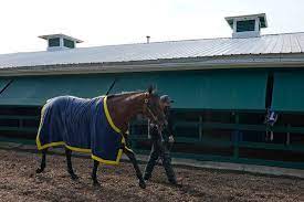 Maybe you would like to learn more about one of these? Preakness 2021 Highlights Rombauer Pulls Off Surprise Win The New York Times