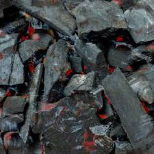 Charcoal Starters