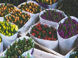 Their diversity allows us to make our gardens special and unique. 100 Spring Trivia Questions And Answers To Help Kids Blossom