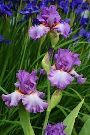 Pin On Nature Scapes And Miracles