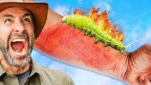 Baby Reindeer Loves Hugs!