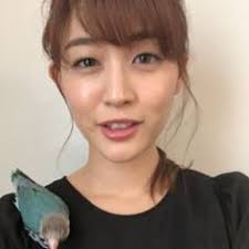 ボード 新井恵理那 のピン
