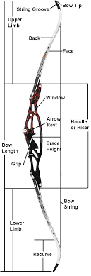 The traditional bow is nowhere as near as a compound bow in terms of performance. Best Recurve Bowz Bestrecurvebowz Profile Pinterest