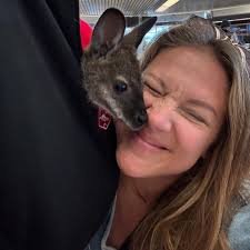 OMG; they're here!! Meet our newest little farm friends: Rusty & Pouch-  wallaby bottle babies! 🍼💕 These two are basically baby mini kangaroos and  currently about the size of a cat—but with