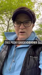 Tree peonies have been cultivated from China for hundreds of years because  they have the most beautiful dinner plate size blooms. They prefer partial  sun and soil with higher organic matter that is ...