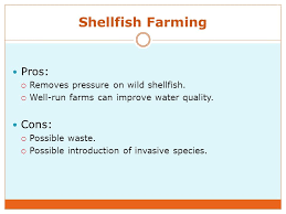 fisheries fishing methods ppt video online download