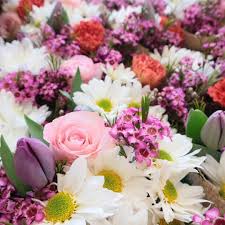 We've been told that logan is different than the rest of utah. Same Day Flower Delivery Logan Poco Posy Logan Flowers