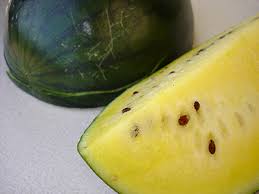 Image result for Citrullus lanatus