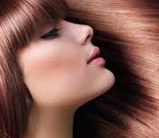 Galeria de Belleza Coqueta