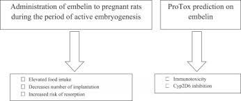Image result for Embelia schimperi