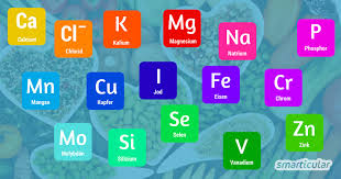 Mineralstoff Abc Was Ist Das Wie Viele Brauche Ich Woher Bekomme Ich Sie