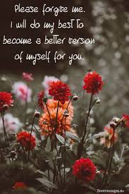 Here is a list of top 7 flowers for forgiveness to say sorry and help you. I Am Sorry Messages For Her Girlfriend Or Wife
