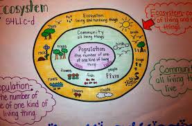 Ecosystem Anchor Chart Fourth Grade Science Third Grade