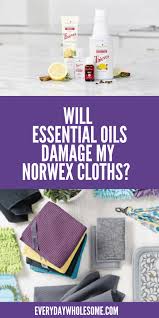 Check spelling or type a new query. Everyday Wholesome Safe Natural Cleaning Products Thieves Norwex